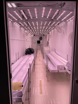 Delta 9 - Flowering Nursery Grow Pod