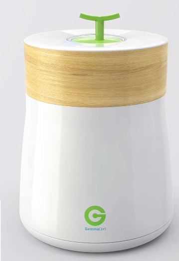 GemmaCert Professional