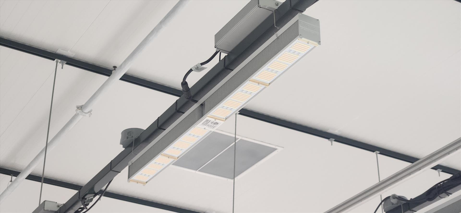 Fluence Led grow light