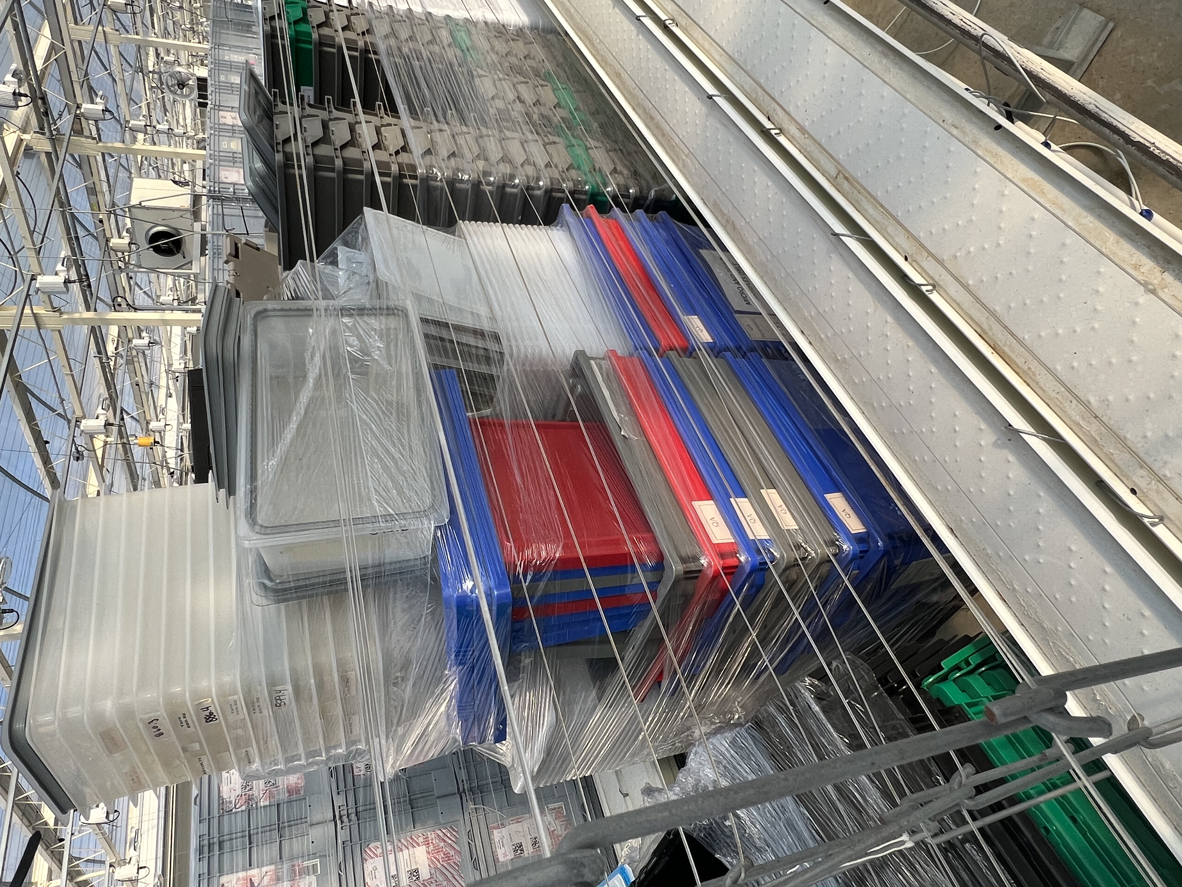 Various size bins with lids