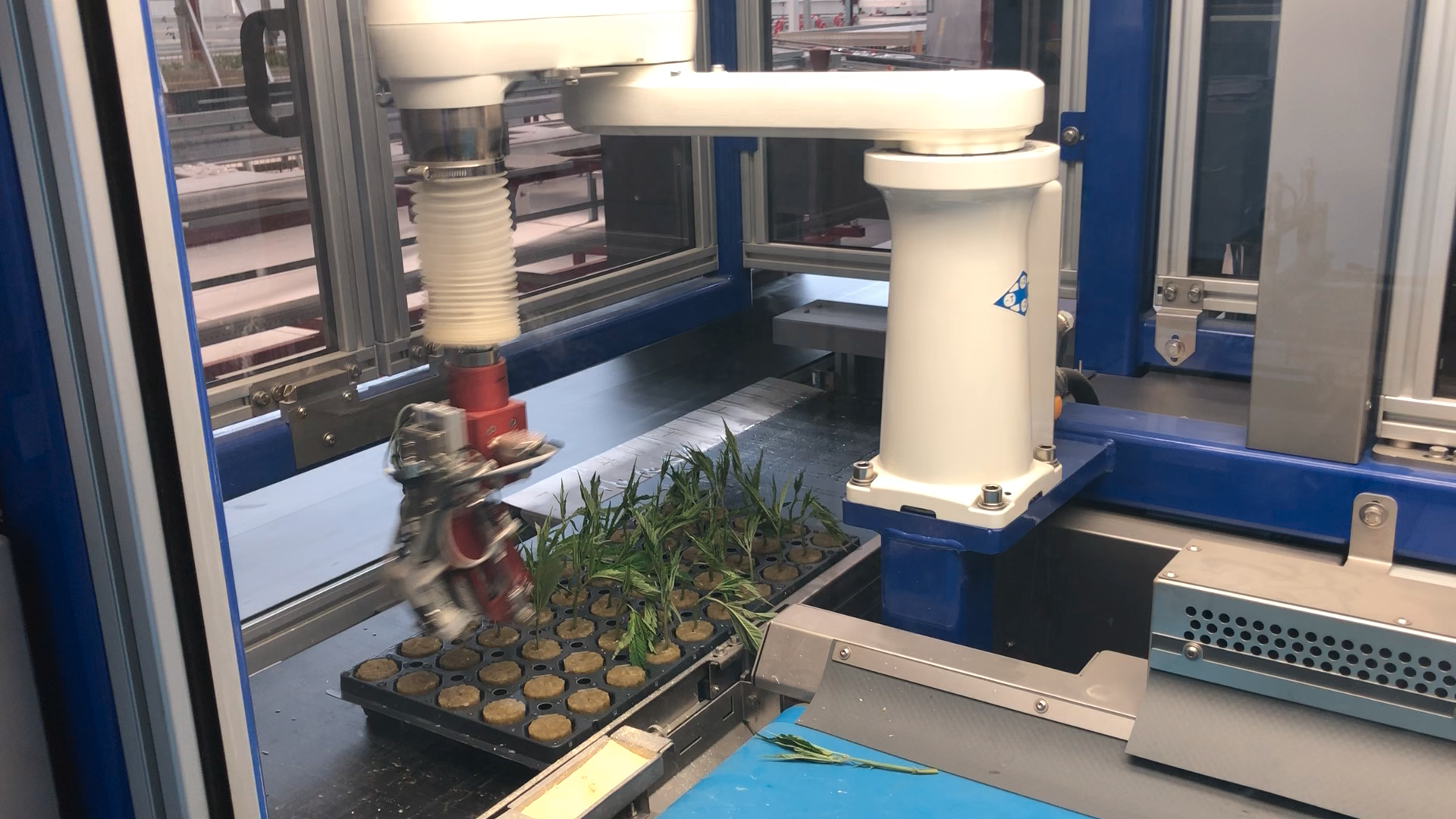 Robotic Arm for tissue culture 