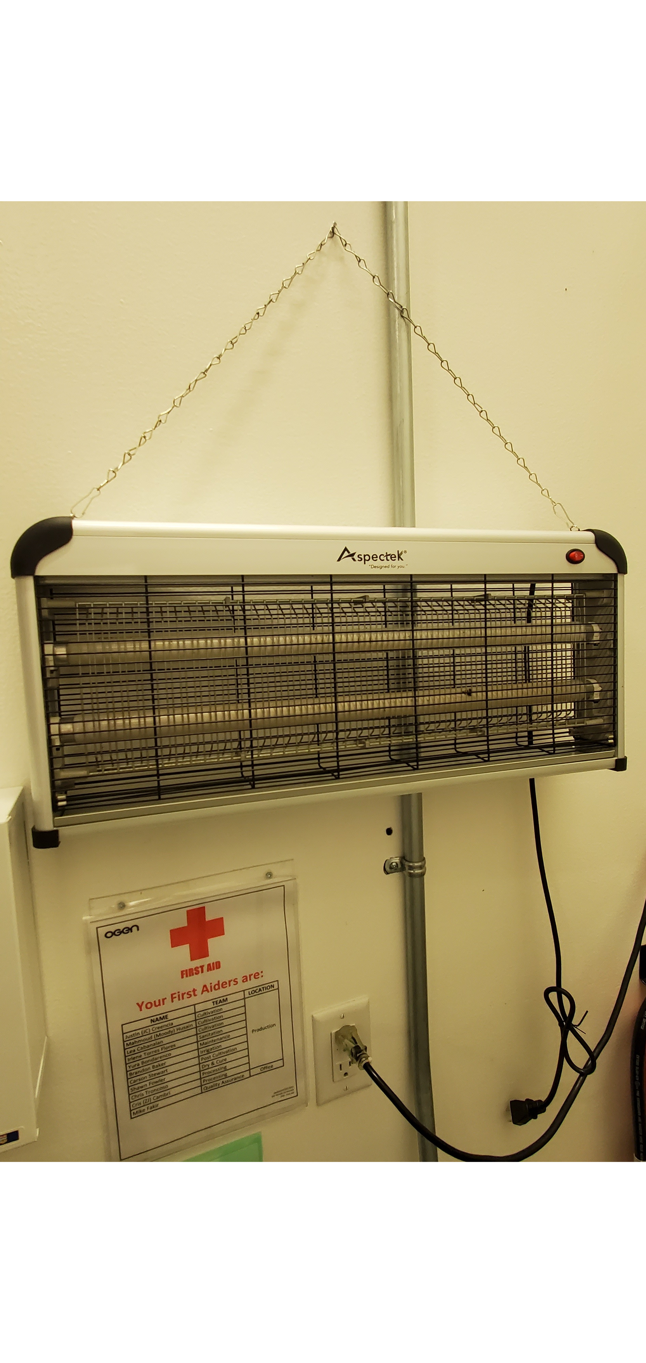 AspecTek Electric Bug Electric 24""