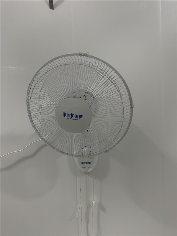 Hurrican Fans - White 12" Wall Mounted