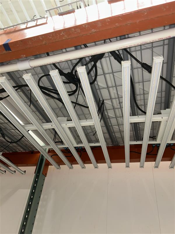 SpecGrade LED - Model FLORA-5; K1-V01-WT-15FT