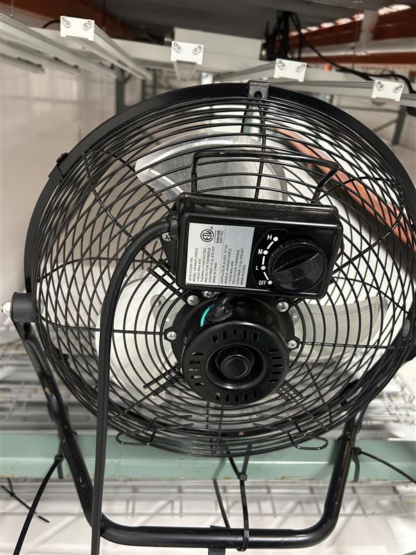 12" Black Floor Fan