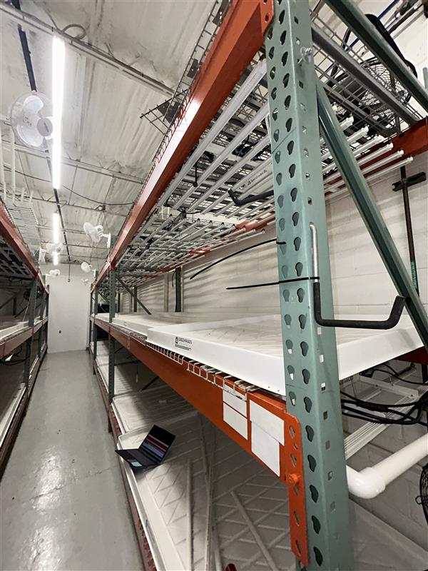 SpecGrade LED - Model FLORA-10; K1-V01-WT-15FT