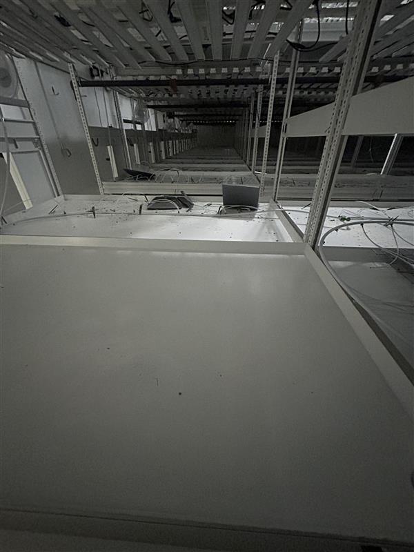 Growing Trays – Dimensions: 8" (L) × 48 3/4" (W) × 2 1/2" (D)