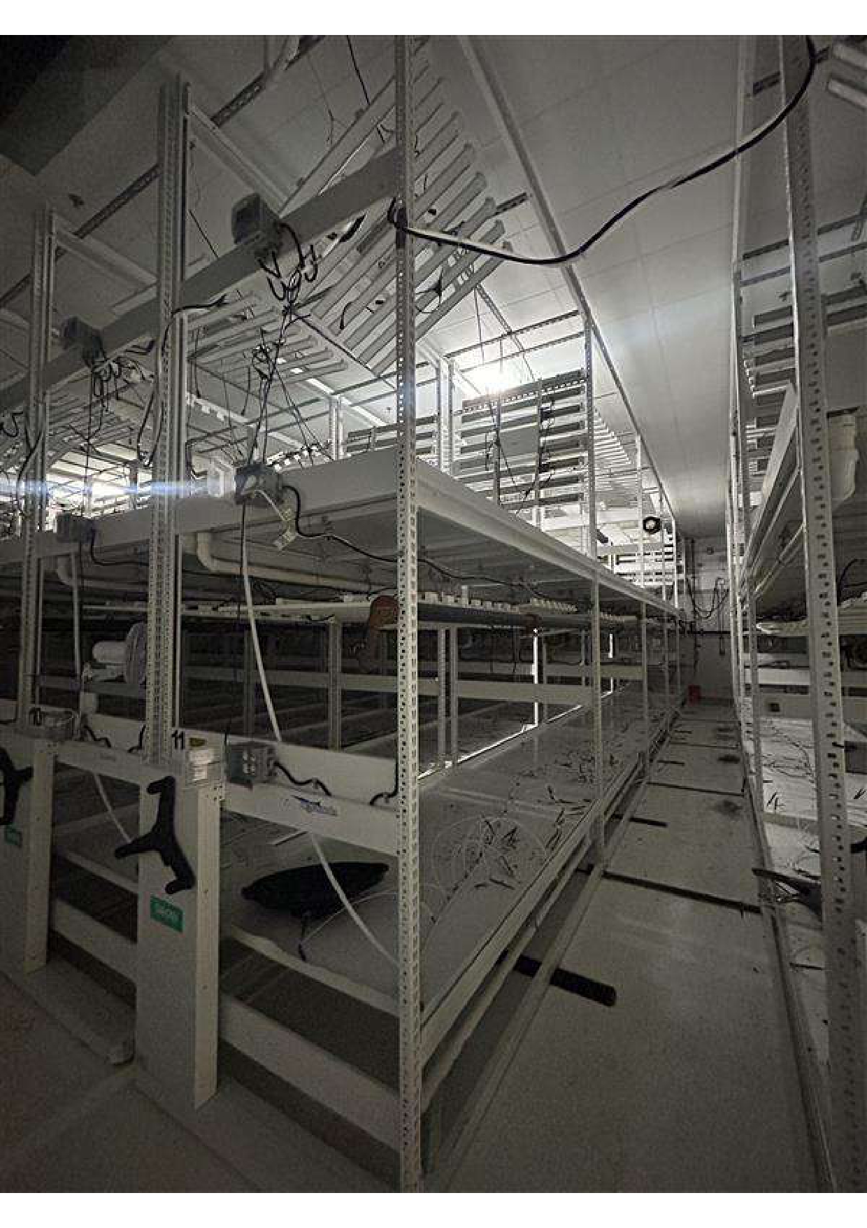 SpaceSaver Racking 48.5"(w) x 13"9" (h) x 8" long - Mobile Manaul & Mechancial Assistm 65total racks in 8 foot sections